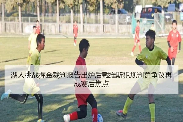 湖人挑战掘金裁判报告出炉后戴维斯犯规判罚争议再成赛后焦点