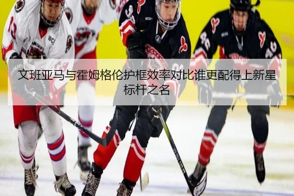 文班亚马与霍姆格伦护框效率对比谁更配得上新星标杆之名